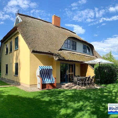 Familienfreundliches Reetdachhaus Weissdorn 2 Villa Puddemin Kültér fotó